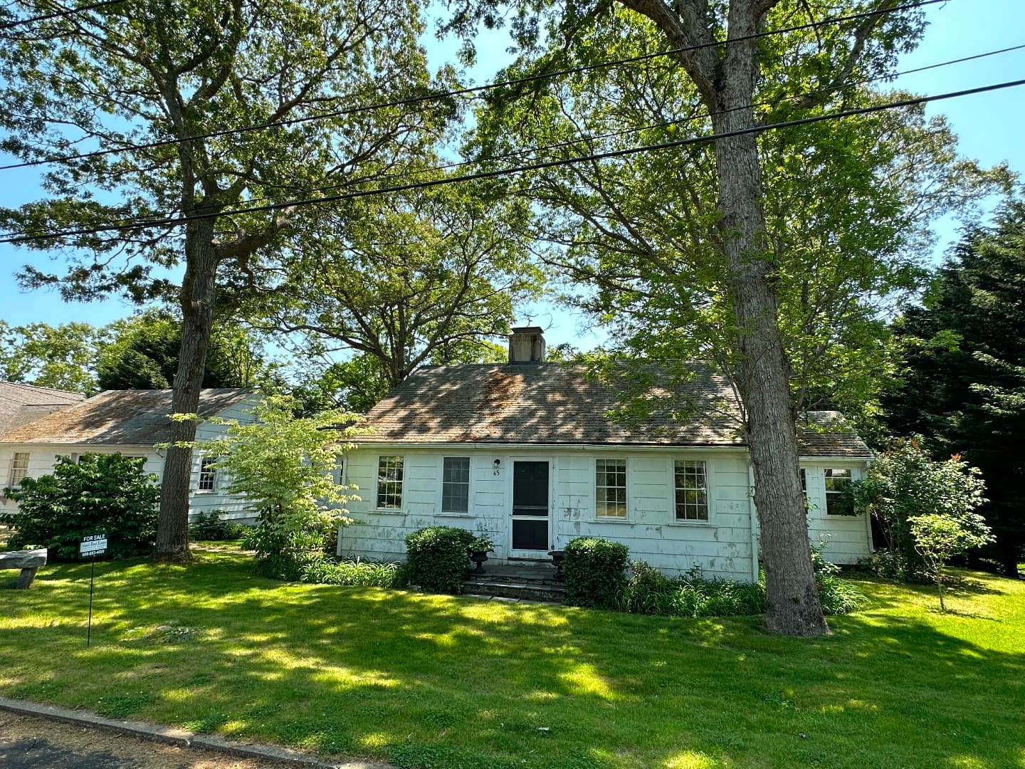45 Pine Tree Lane