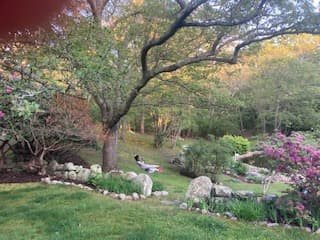 Residential Property Image/jpeg #5