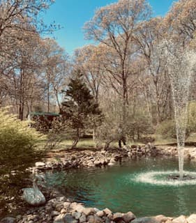 Residential Property Image/jpeg #4