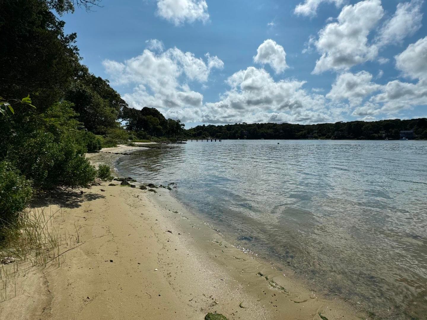 Residential Property Image/jpeg #4