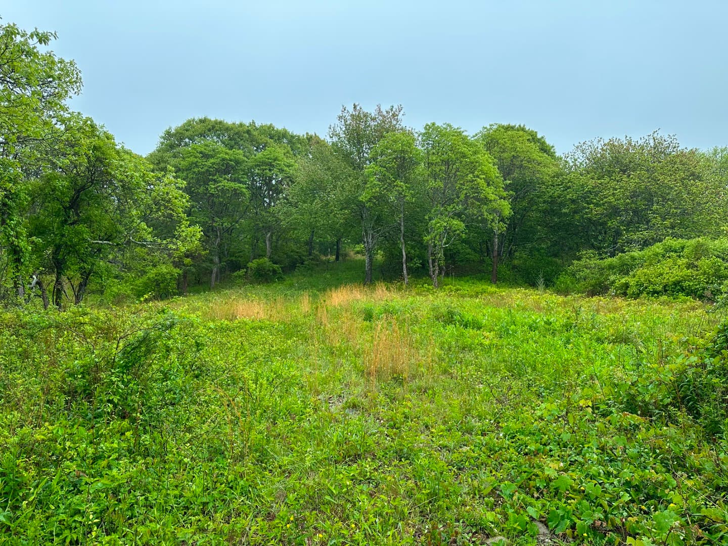 0 Jeffers Lane