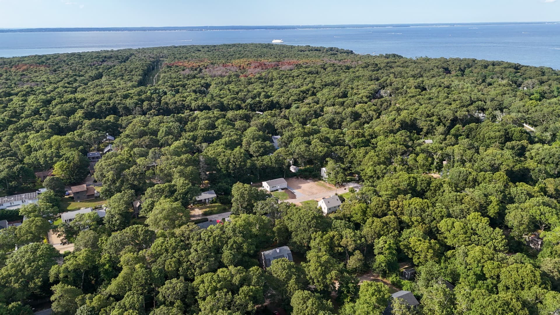 Residential Property Image/jpeg #5