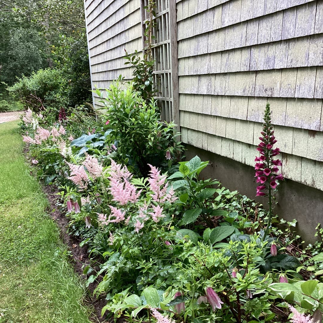 Residential Property Image/jpeg #4