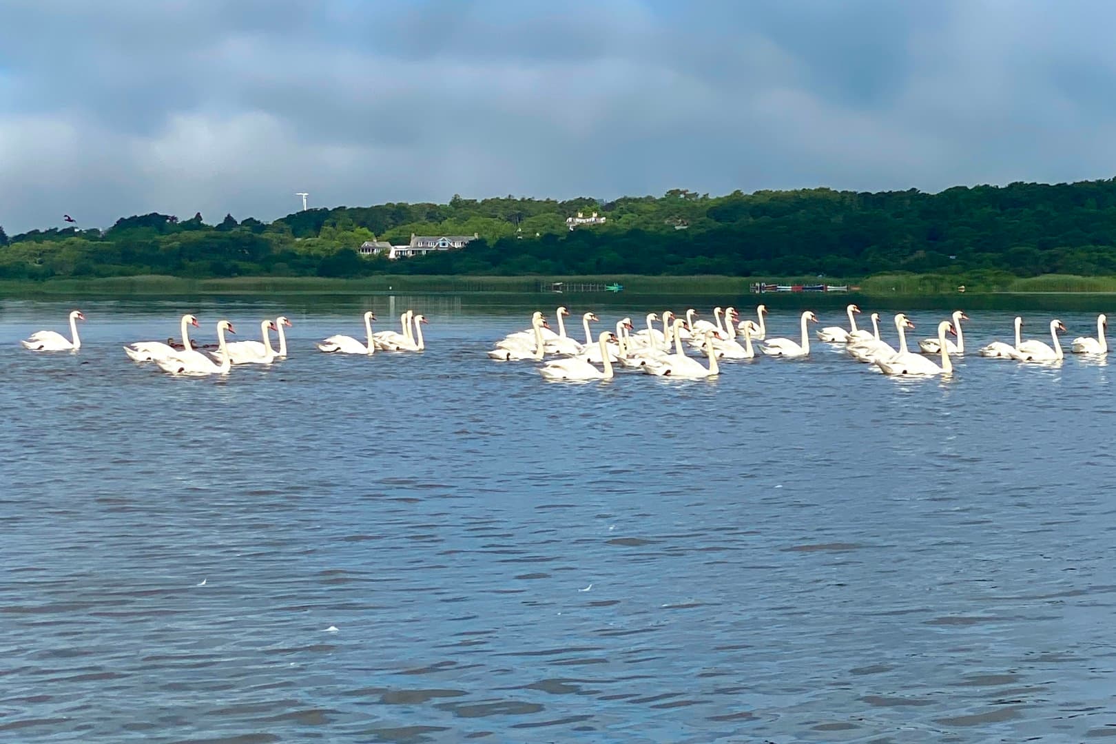 Residential Property Image/jpeg #2