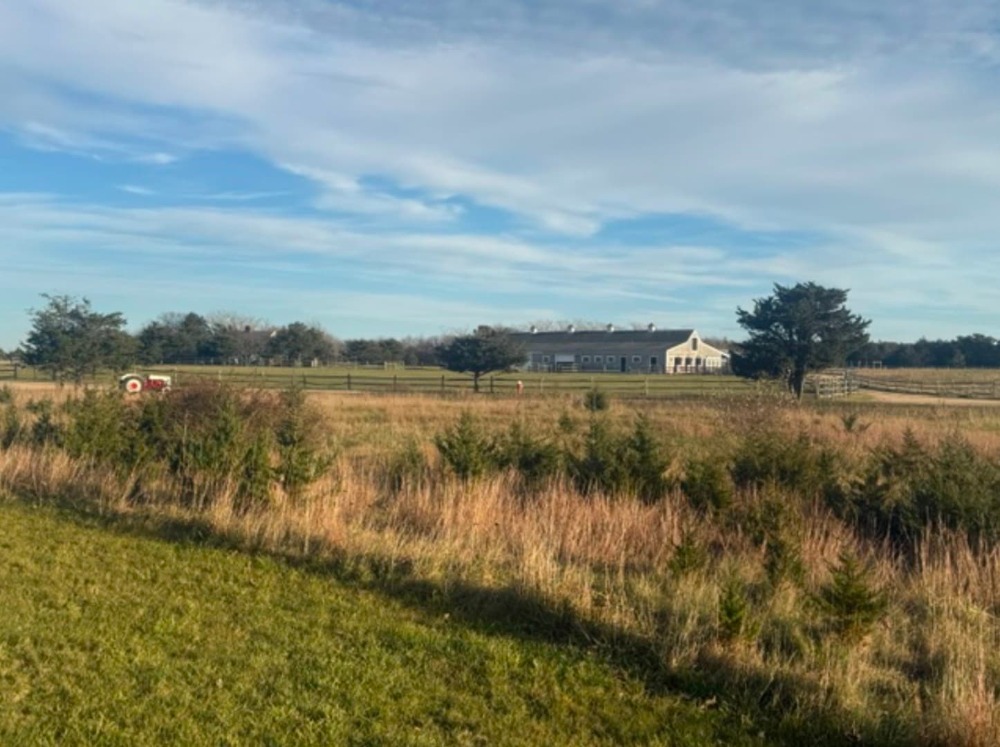 Residential Property Image/jpeg #4