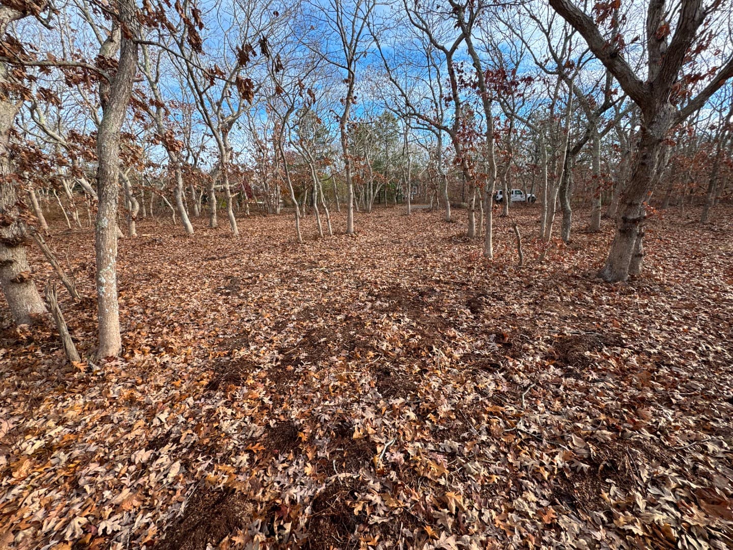 Residential Property Image/jpeg #5