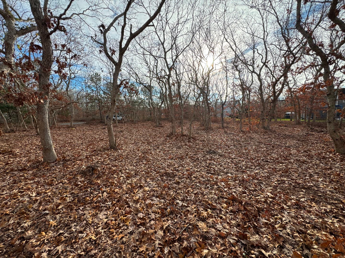 Residential Property Image/jpeg #4