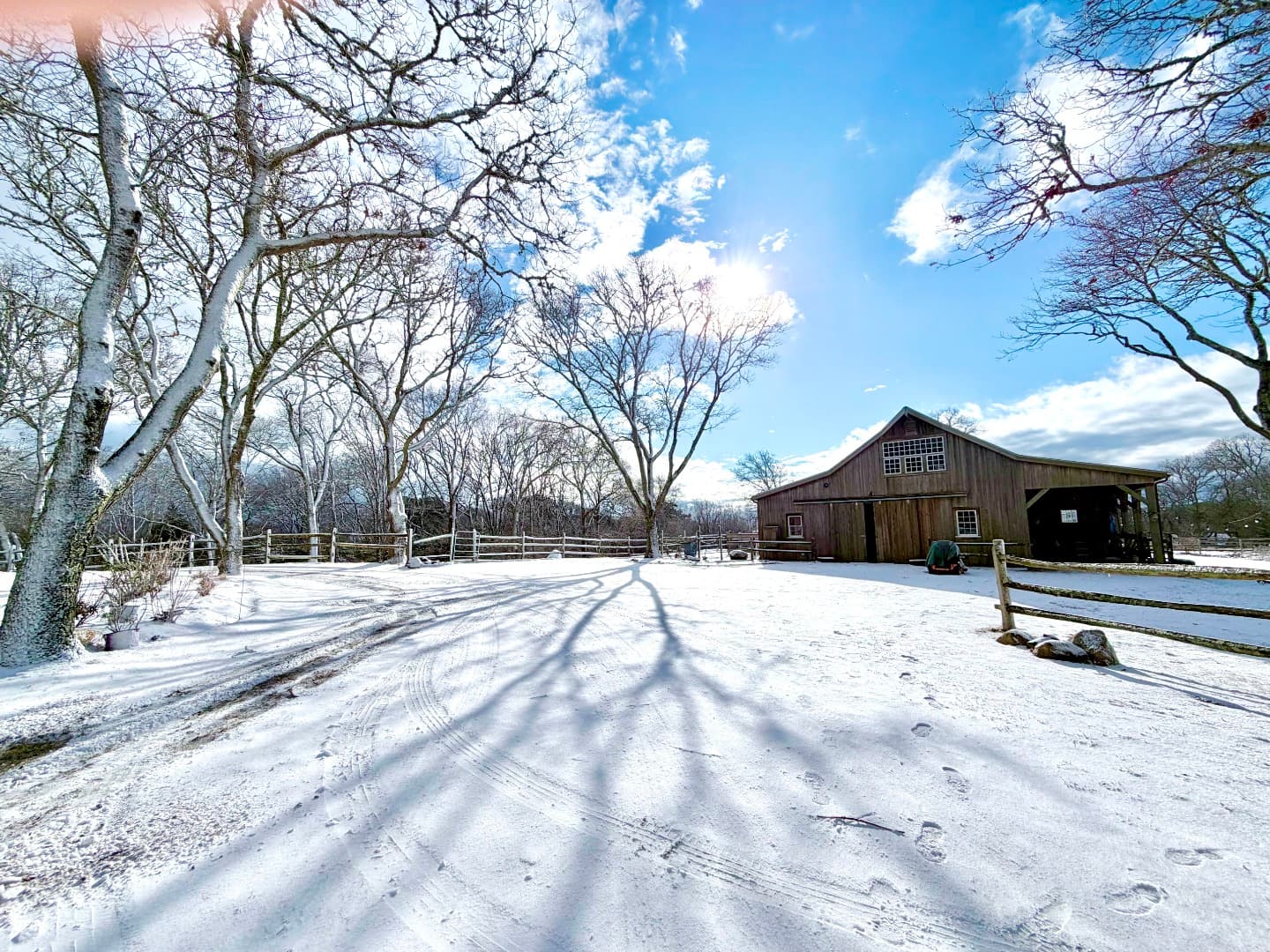 Residential Property Image/jpeg #4