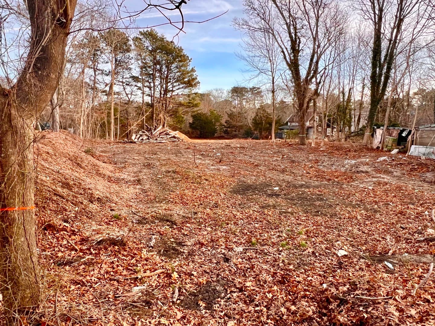 Residential Property Image/jpeg #2