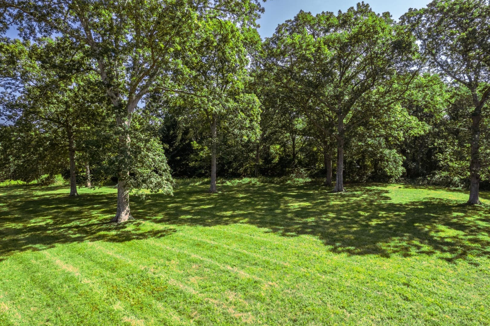 Residential Property Image/jpeg #4