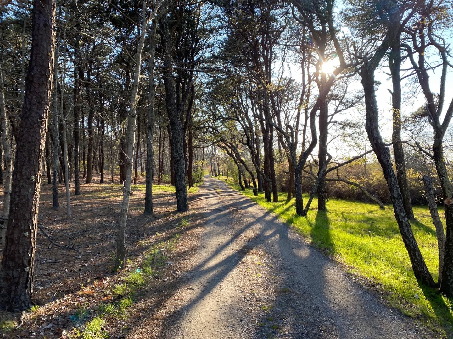 Residential Property Image/jpeg #5