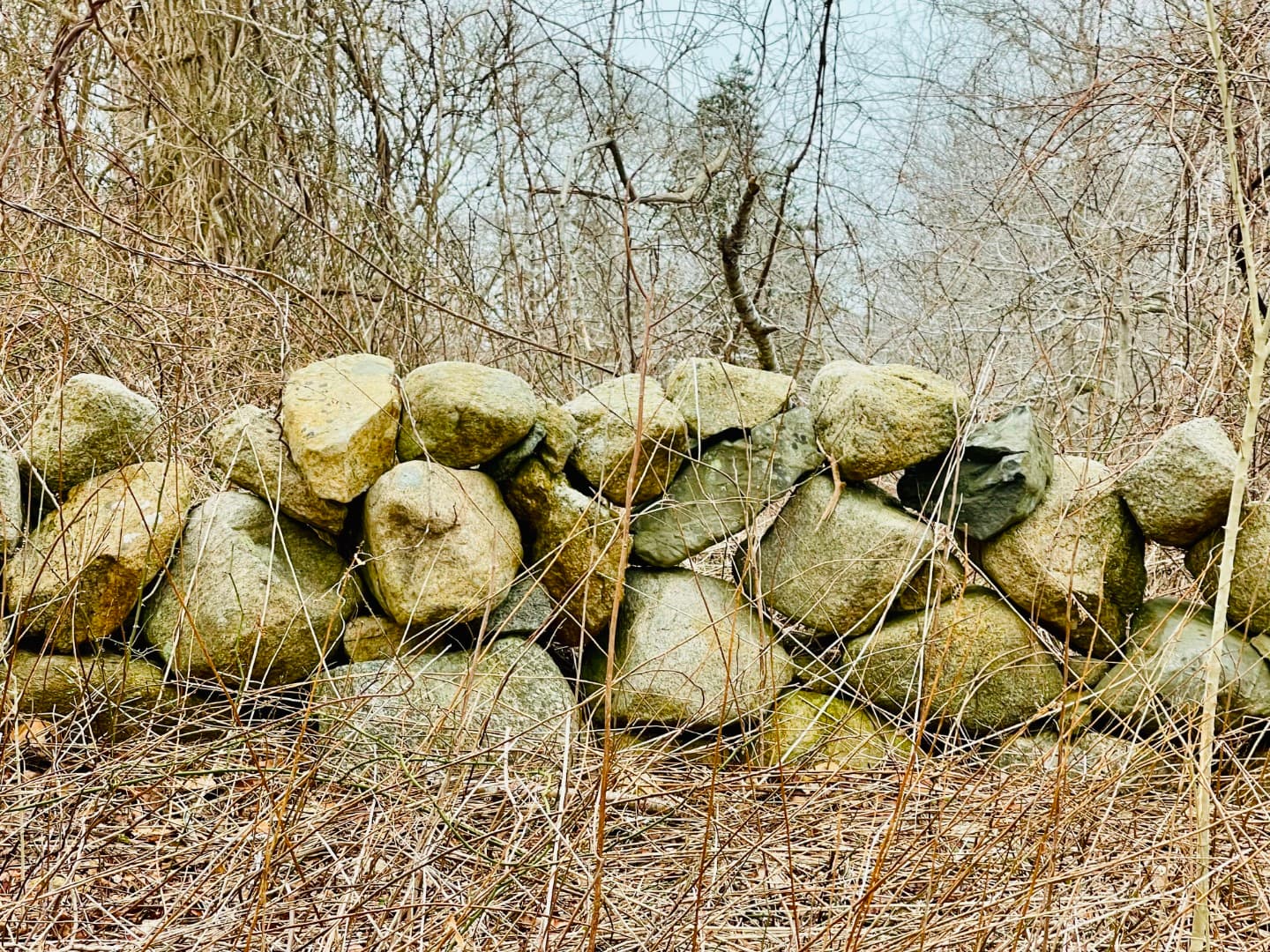 Residential Property Image/jpeg #1