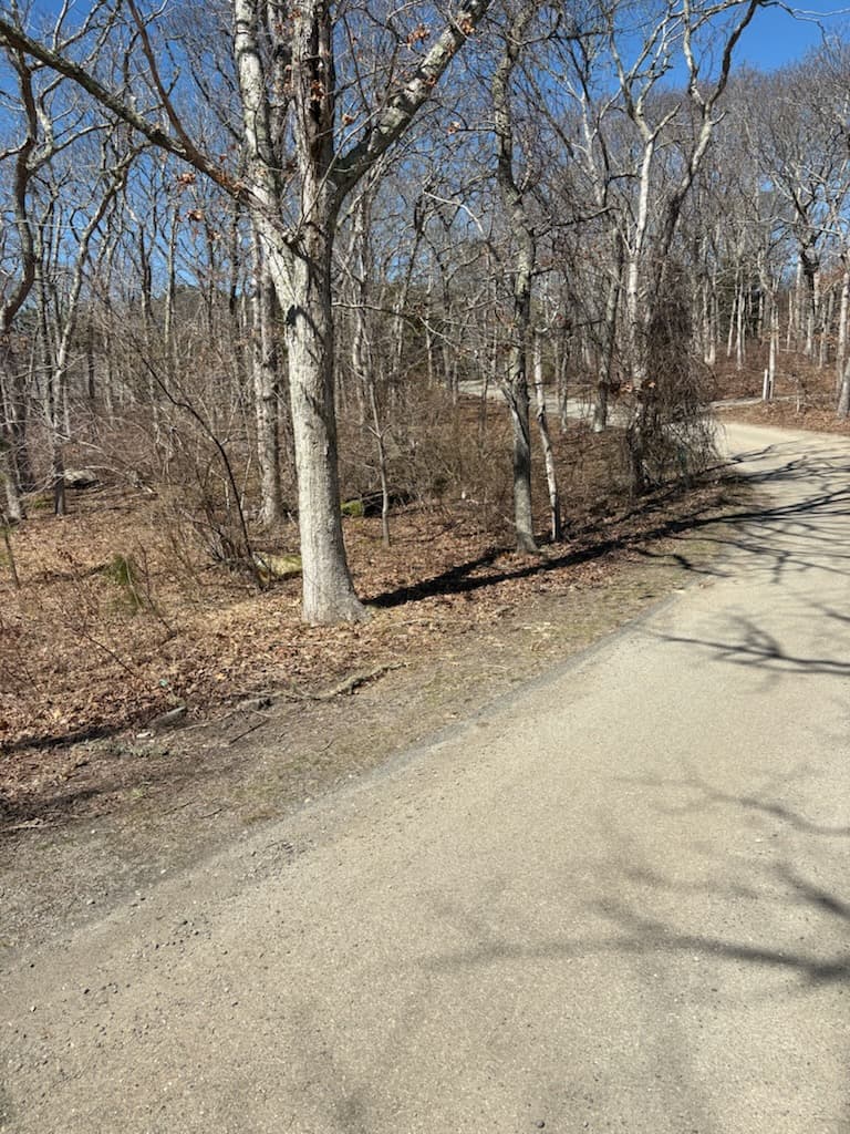 4 Huckleberry Hill Lane