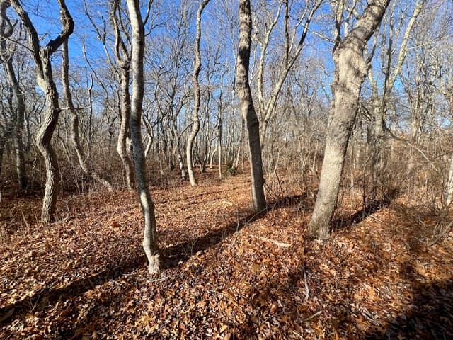 1 Old Field Road