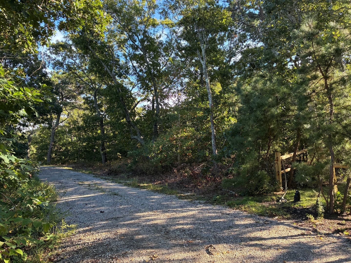 109 Forest Avenue