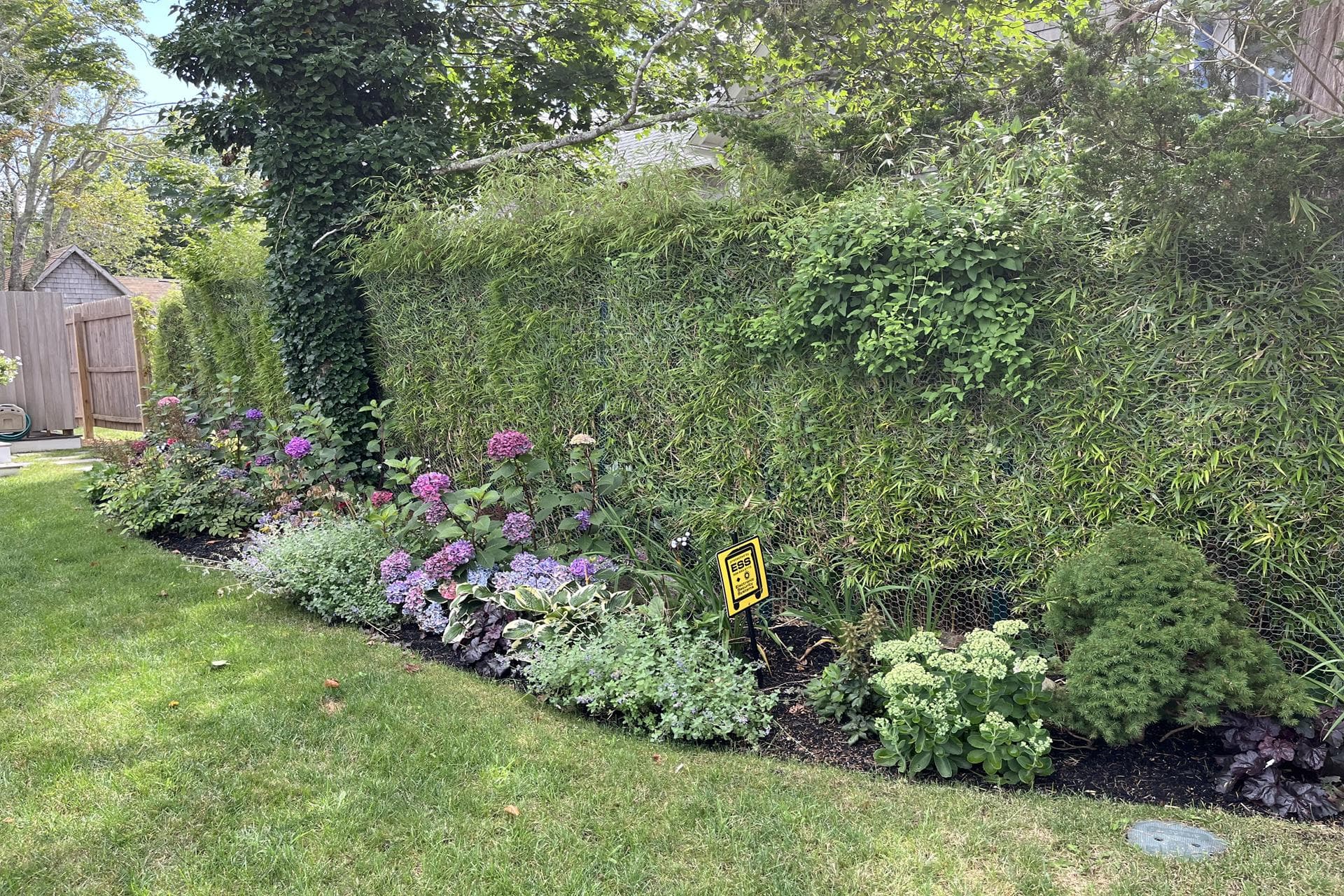 image_1