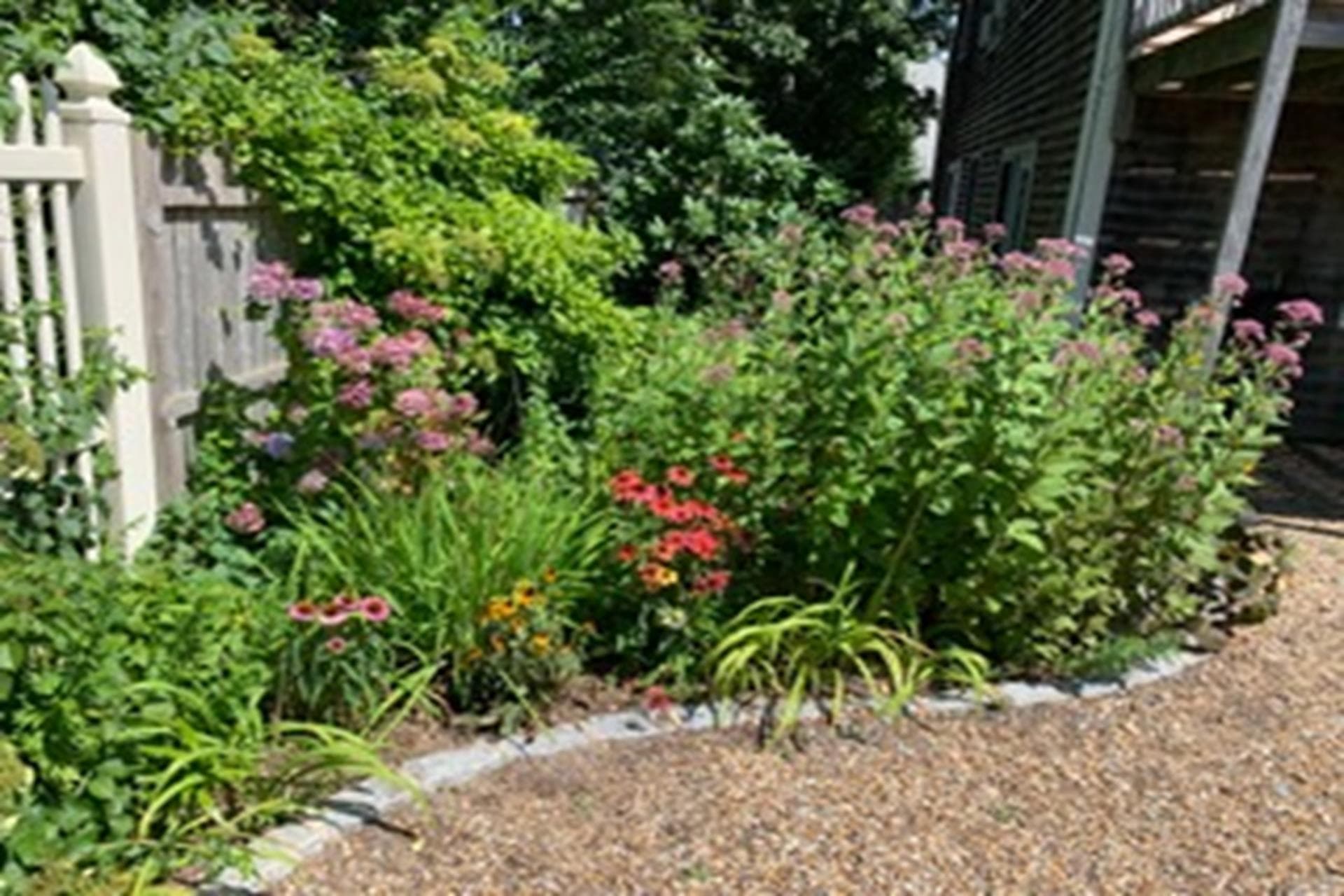 image_1