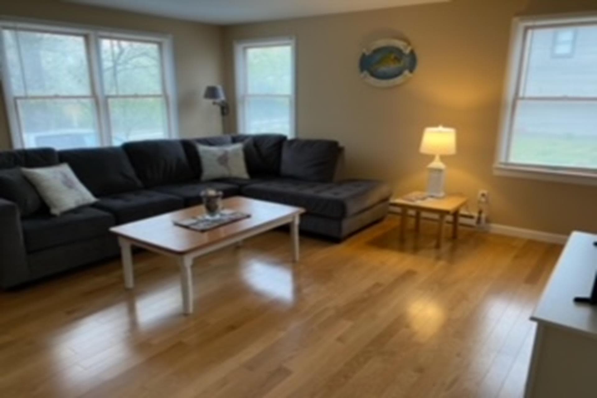 image_1