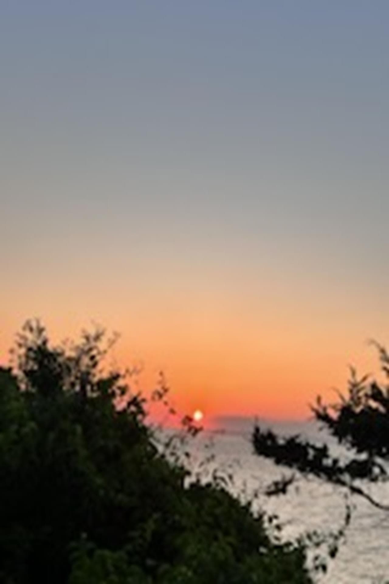 image_1