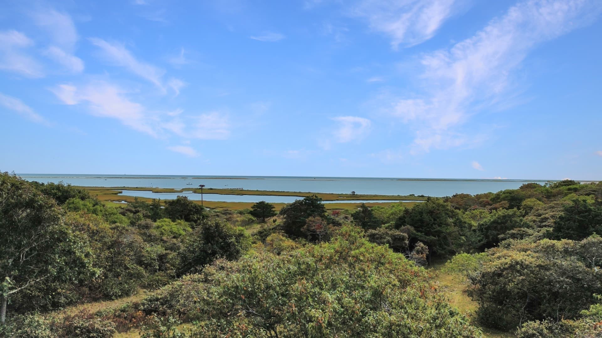 Residential Property Image/jpeg #4