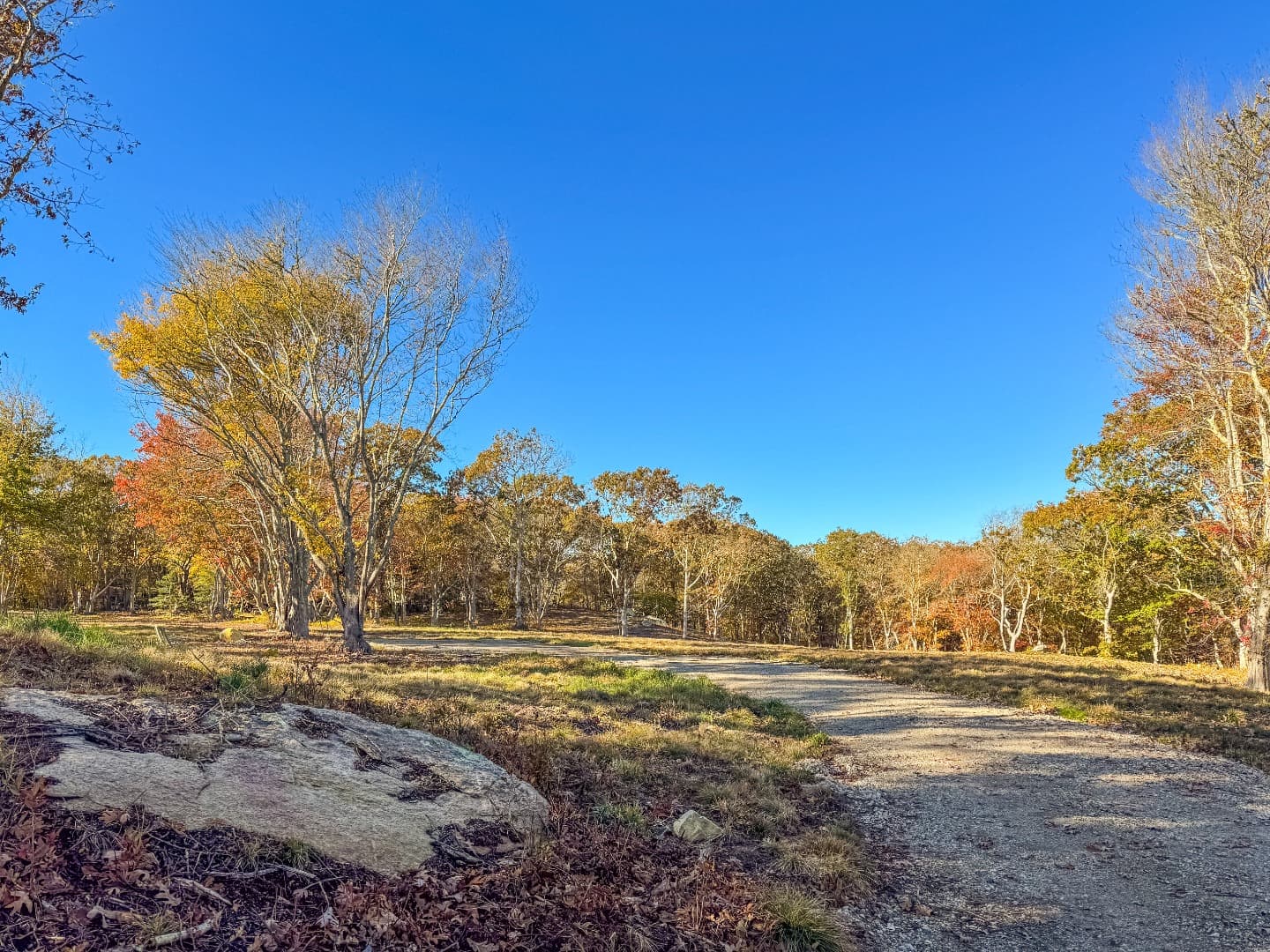 Residential Property Image/jpeg #2