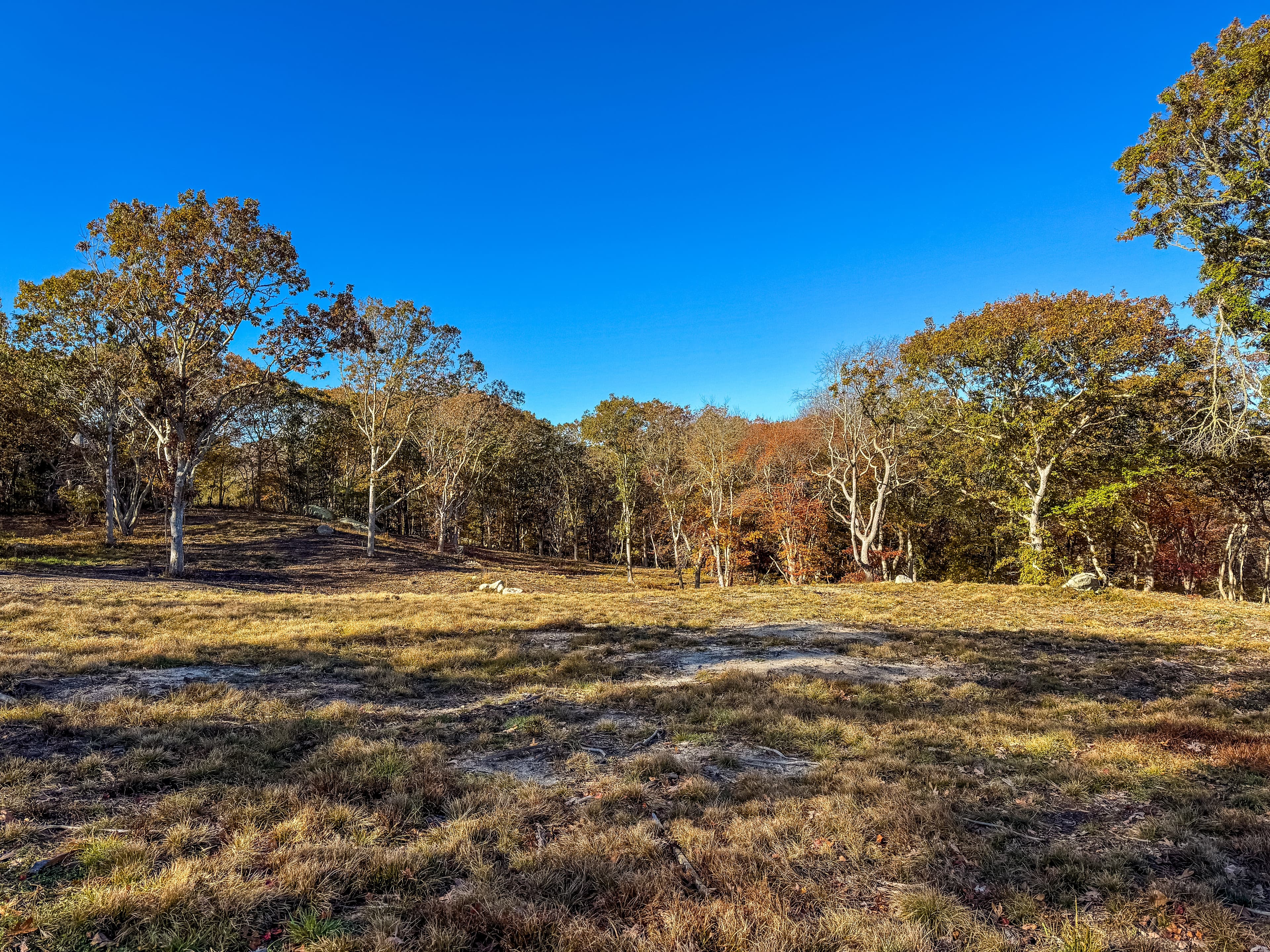 Residential Property Image/jpeg #3