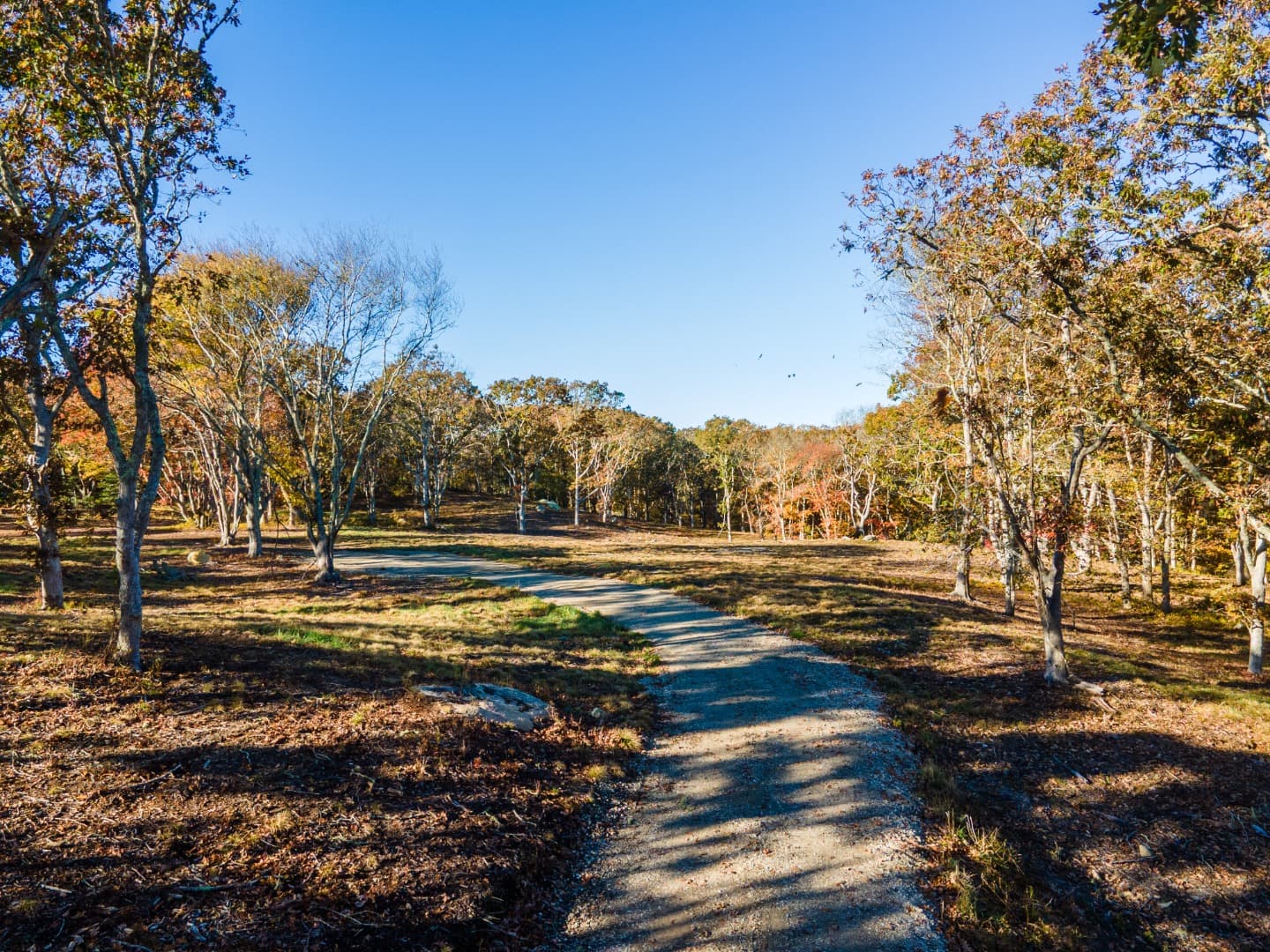 Residential Property Image/jpeg #1