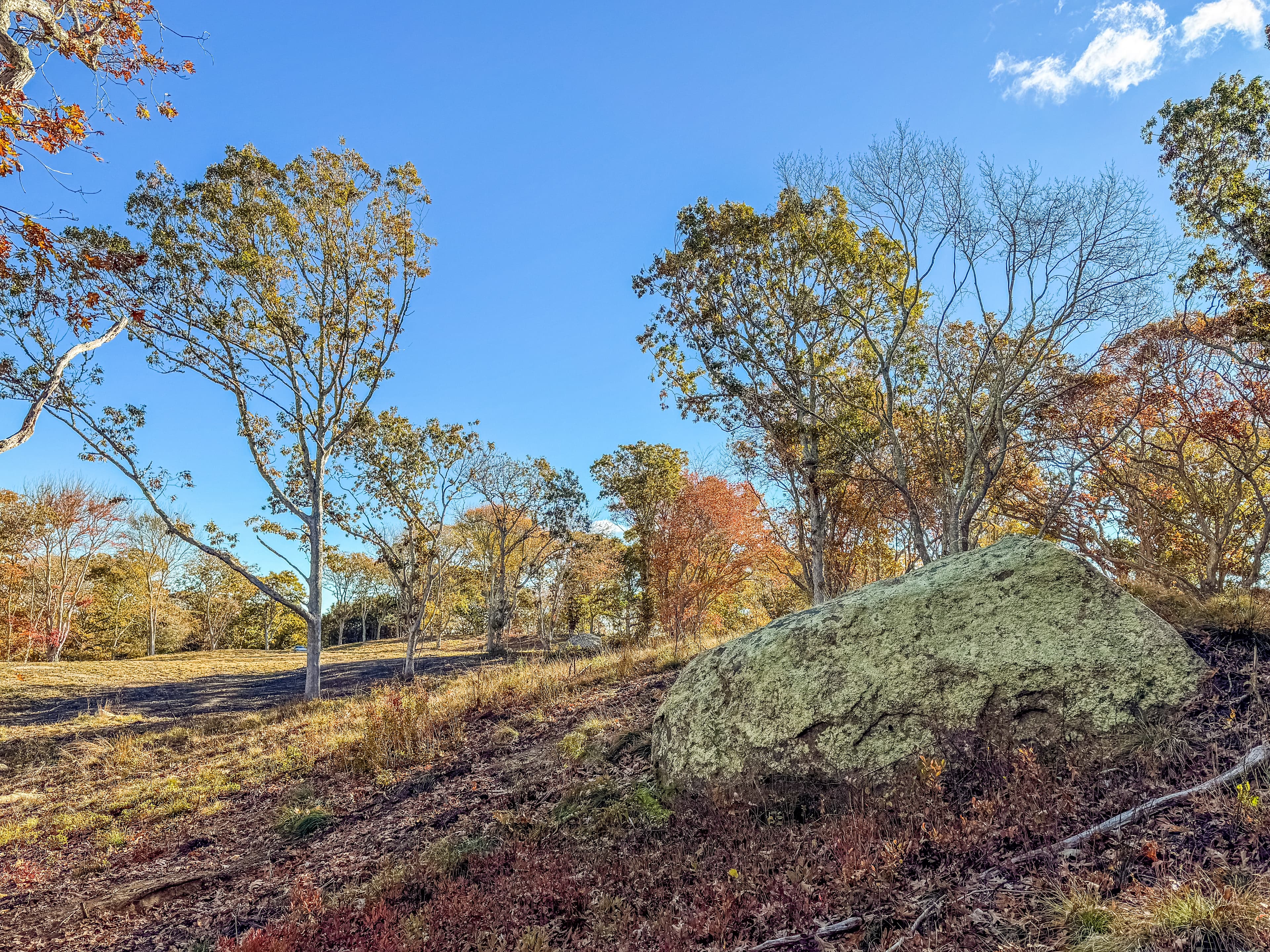 Residential Property Image/jpeg #5