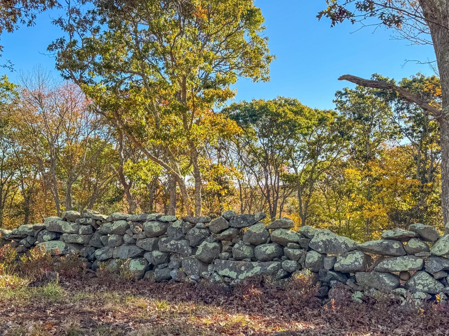 Residential Property Image/jpeg #4