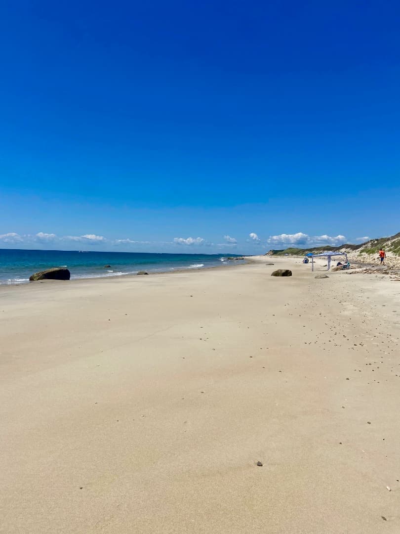 Residential Property Image/jpeg #2