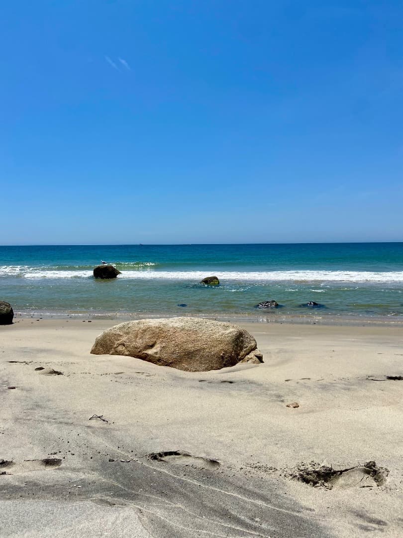 Residential Property Image/jpeg #3