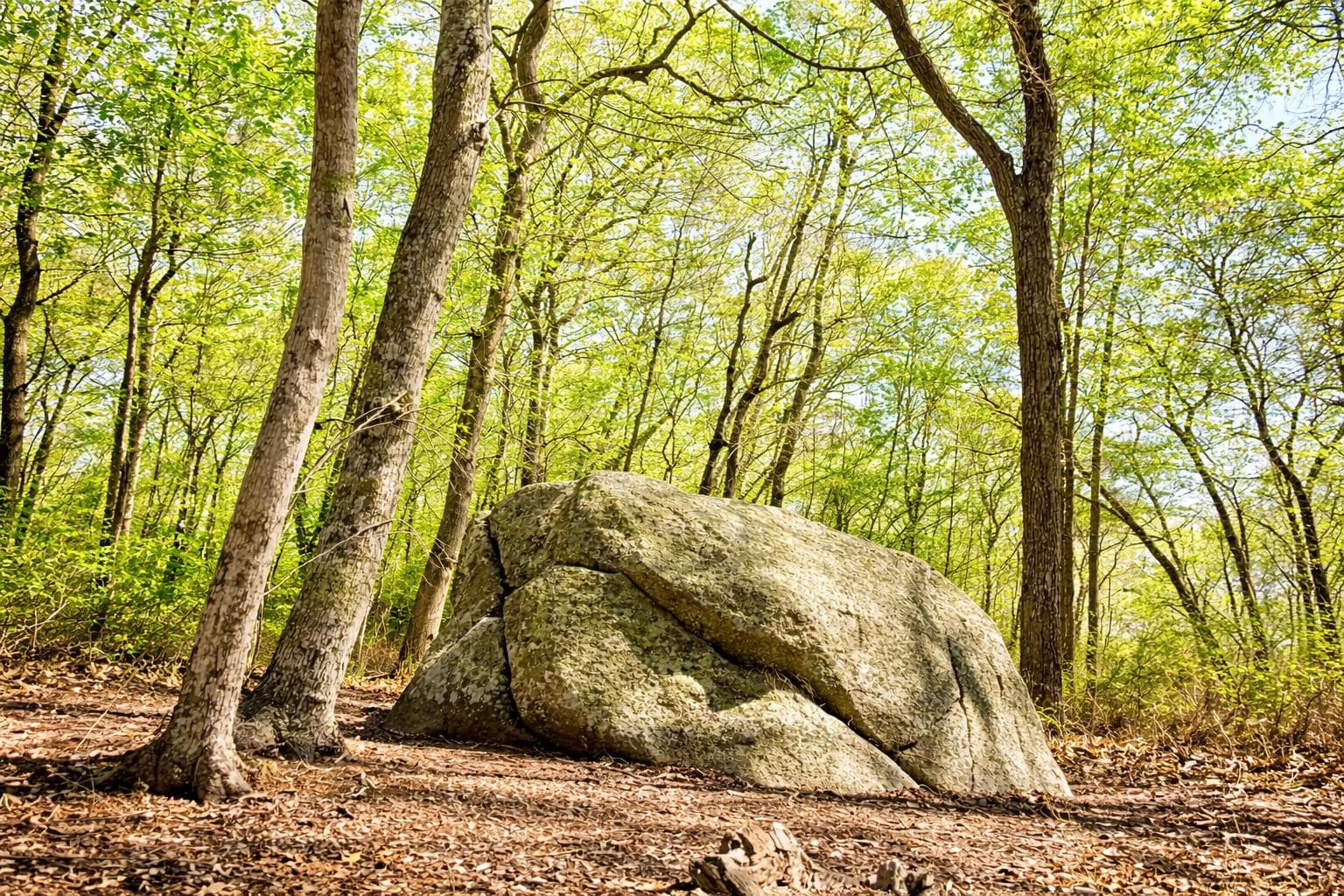 Residential Property Image/jpeg #3